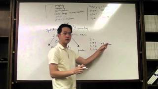 Spectrophotometery  Techniques use in cell biology  Federal Board Biology XI [upl. by Shaylynn]