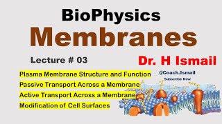 Membrane Transport and Potential Explained  Biophysics Overview  Chapter 02  Dr H Ismail [upl. by Yssak643]