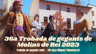 36a Trobada de gegants de Molins de Rei 1102023 [upl. by Ahtnicaj]