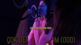 Beautiful covering voice on Serhat Durmus  Hislerim shortsvideo coveredsong serhatdurmusmusic [upl. by Aran]