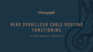 FUNCTIONALITY OF THE CABLE ROUTING OF THE CAMPAGNOLO REAR DERAILLEUR [upl. by Aronoh]