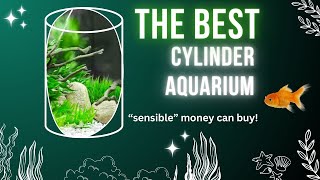 The best Cylinder aquarium or column tank 240 litres of excellent fish tank [upl. by Lebazi674]