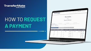 How to Request a Single Payment on TransferMate [upl. by Cosmo487]