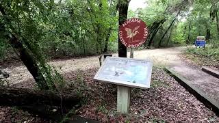 Bon Secour National Wildlife Refuge Pine Beach Trail [upl. by Juback458]