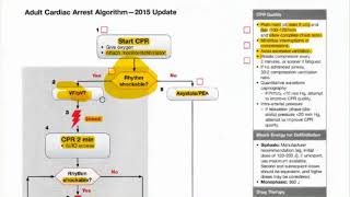 Adult Cardiac Arrest Algorithm [upl. by Loomis481]