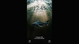 Galaxy Premium Theme  Sharks Animated Lockscreen [upl. by Ferrell]