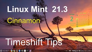 Linux Mint 213  Cinnamon  Timeshift Tips [upl. by Kosel350]