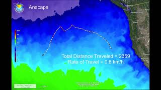 Cohort II  Distance and Rate of Travel [upl. by Ahsinod]