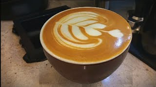 In this video i show how to make Perfect Cappuccino [upl. by Milas]