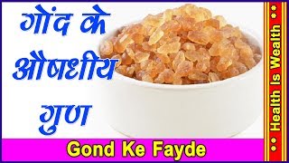 गोंद के औषधीय गुण  health tips Gond Ke Fayde [upl. by Anaitit]