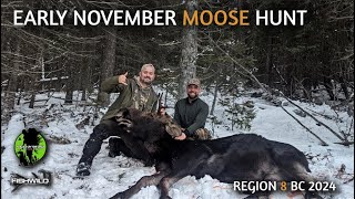 Early November Moose Hunt British Columbia Region 8 [upl. by Kilmarx]