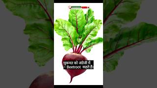 Learn Daily using Fruits name hindi into English  learnEnglish quickly [upl. by Yendic]