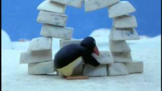 Pingu Pingu builds an Igloo [upl. by Joletta]