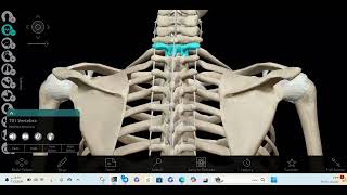 التصوير الشعاعي المحاضره الرابعه Radiographic Techniques [upl. by Ludwig]