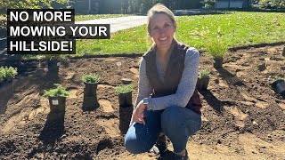 How to Landscape Your Hillside for Low Maintenance [upl. by Annah948]