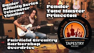 Fairfield Circuitry Barbershop Overdrive Squier Affinity Fender Tone Master Princeton [upl. by Garret]