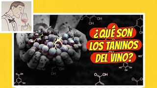 27 ¿QUÉ SON LOS TANINOS DEL VINO [upl. by Tamsky]