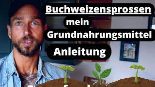 Buchweizensprossen Superfood  deswegen esse ich sie jeden Tag Schützt das HerzKreislaufSystem [upl. by Yendirb]