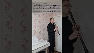 🪈🎶Moderato assai etude for clarinet clarinet music музыка classicalmusic clarinette [upl. by Chaille658]