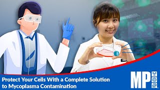 Protect Your Cells With a Complete Solution to Mycoplasma Contamination [upl. by Chucho]