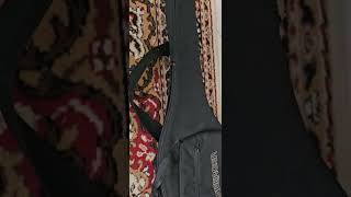 Steinberger gigbag for sale [upl. by Seyah858]