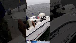 Duxbury Reef Rock Fishing Relaxing Day On The Water [upl. by Eldwon837]