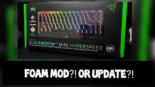 Razer Blackwidow V3 mini foam mod surprise  Lubed stabiliser sound test [upl. by Nivan]