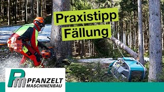 Praxistipp Seilwindenuntersützte Fällung  KAT Verfahren [upl. by Peggir782]