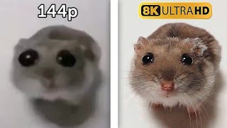 Sad Hamster 144p to 8K [upl. by Nilved]