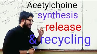 Acetylcholine synthesis release metabolism and recycle UrduHindi by Dr UUT amp vid by Mahmood [upl. by Lamoureux221]