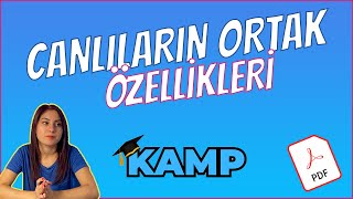 CANLILARIN ORTAK ÖZELLİKLERİ FULL TEKRAR TYT 2025 [upl. by Tihom]