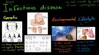 SB6 Cause and Treatment of Non Infectious Disease HSC biology [upl. by Petrick]