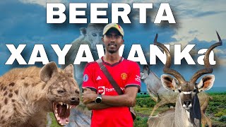 Beerta xayawaanka ee Jigjiga [upl. by Yeslaehc]