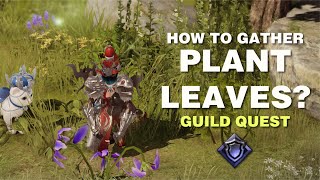 Lost Ark Guild Quest How to Gather Plant Leaves [upl. by Mudenihc]