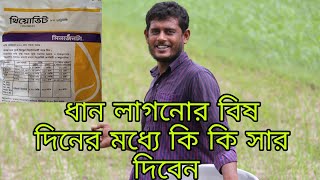 ধান লাগানোর 20 দিনের মধ্যে কি কি সার দিবেন। [upl. by Ecirtnuahs]