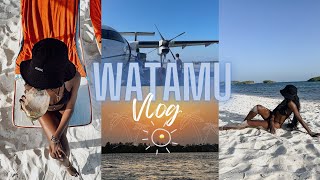 WATAMU VLOG  Exploring Watamu  Temple Point Resort Papa Remo and Lichthaus Watamu [upl. by Tatman647]