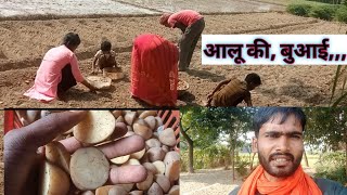 1 November 2024 आलू की बुआई हो गई 🤷‍♂️🍅 Banaras sabji mandi बनारस [upl. by Ahtekal908]