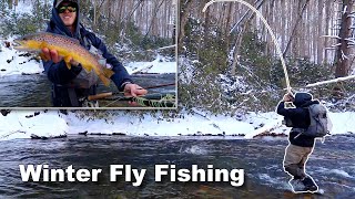 Winter fly fishing on the Davidson River catching trout [upl. by Dnalkrik542]