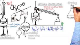 Esters 4 Organic Preparation amp Purification of an Ester [upl. by Bannasch]