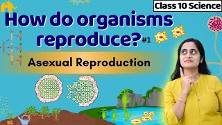 How do Organisms reproduce Class 10th CBSE  Part 1  Asexual Reproduction  NCERT Chapter 7 [upl. by Lorrie]