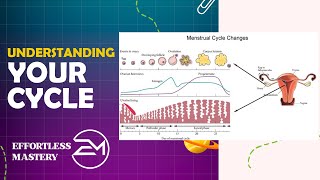 MENSTRUAL CYCLE SIMPLIFIED Phases Hormones and Key Events Explained [upl. by Moina]