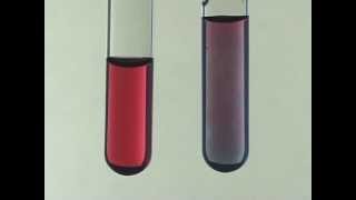 Citrate Synthesis of Gold Nanoparticles [upl. by Dickman]