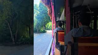 Free shuttle  how to get to Xcaret Park Playa del Carmen Mexico tropical Caribbean life xcaretpark [upl. by Hasen]