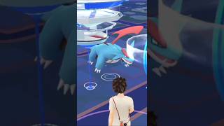 ✨Omg Dragon🐉Spawn in Wild💥 pokemon pokemongo dragontypepokemon salamance spawn catch explore [upl. by Osman]