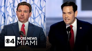 Gov Ron DeSantis will choose Senate replacement if Rubio joins Trump administration [upl. by Allebasi]