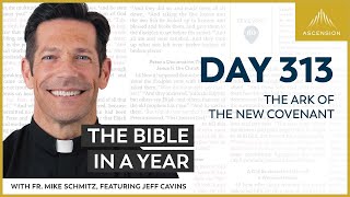 Day 313 The Ark of the New Covenant — The Bible in a Year with Fr Mike Schmitz [upl. by Aneed]