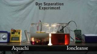 Dye Separation Experiment  Aquachi vs Ioncleanse [upl. by Appleby]