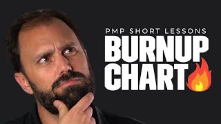 What is a Burnup Chart in Agile [upl. by Oizirbaf]