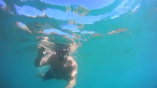 Lanzarote  Papagayo Beaches  Snorkeling Free diving [upl. by Yrram]