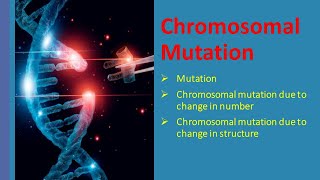 Chromosomal Mutation  Types of Chromosomal Mutation [upl. by Sabine645]